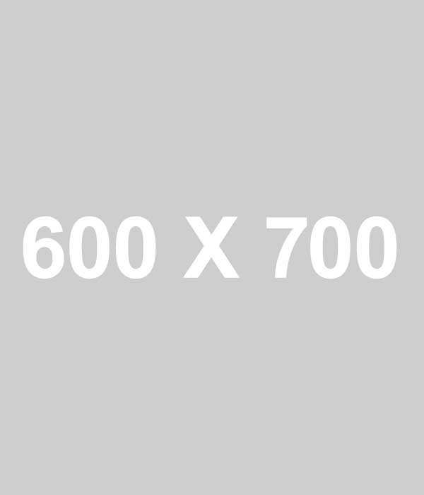 600x700.jpg